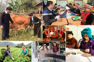 Bà Rịa – Vũng Tàu triển khai dự án hỗ trợ phát triển sản xuất nông nghiệp cho đồng bào dân tộc thiểu số