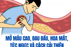 Mỡ máu cao đau đầu, hoa mắt, tức ngực - đã có LIPIDcleanz