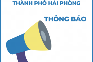 Cục Quản lý thị trường Hải Phòng thông báo lựa chọn tổ chức đấu giá tài sản