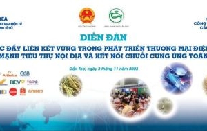 Phát triển thương mại điện tử tại đồng bằng sông Cửu Long và các tỉnh Đông Nam Bộ