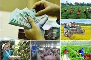 Cần xác định rõ trách nhiệm trong việc thực hiện các Chương trình mục tiêu quốc gia
