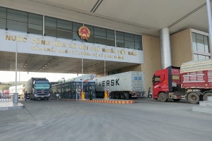 Lào Cai thí điểm thực hiện vận chuyển hàng hóa hai chiều đối với hàng hóa nông sản tươi sống