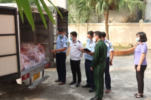 Tiêu hủy hơn 3 tấn thịt lợn đã bốc mùi ôi thiu tại Thái Bình