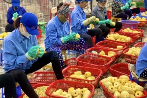 Mức thưởng Tết cao nhất tại Thanh Hóa dự kiến hơn 370 triệu đồng/người
