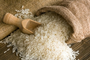 Giá lúa gạo hôm nay 16/11: Tăng 100 – 200 đồng/kg đối với lúa