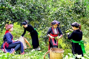 Nhiều nỗ lực phát triển kinh tế và giảm nghèo của Việt Nam được ghi nhận