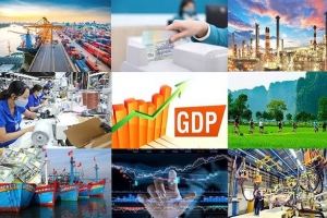 Cần Thơ tập trung tháo gỡ khó khăn, vướng mắc trong thực hiện các quy định kinh doanh