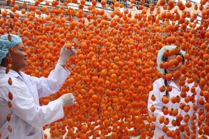 Phương thức hữu hiệu quảng bá các sản phẩm OCOP đã được chứng nhận