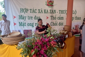 Thừa Thiên Huế- Công nhận 64 sản phẩm, bộ sản phẩm OCOP năm 2023