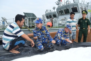 Bắt giữ 1 tàu vận chuyển khoảng 100 tấn phân đạm URÊ không rõ nguồn gốc