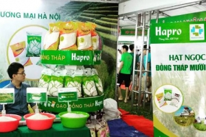 Có hơn 1.000 mặt hàng bình ổn giá phục vụ người tiêu dùng trong dịp Tết Nguyên đán Giáp Thìn 2024