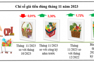 Chỉ số giá tiêu dùng của tỉnh Kon Tum tháng 11 giảm 0,01% so với tháng trước