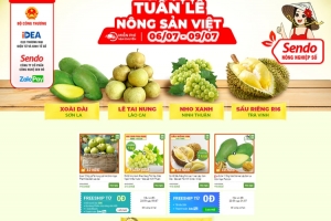 Đâu là điểm sáng của thương mại điện tử Việt Nam?