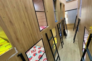Xử phạt nhiều cơ sở hoạt động kinh doanh mô hình "hộp ngủ" ở TP. Hồ Chí Minh