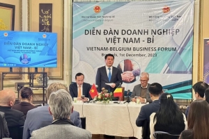 Tăng cường hợp tác kinh tế, thương mại Việt Nam - Bỉ
