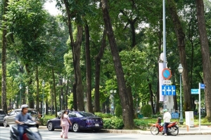 TP. Hồ Chí Minh cấm các loại xe lưu thông vào đường Phạm Ngọc Thạch