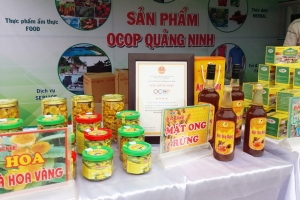 Thúc đẩy tiêu thụ sản phẩm OCOP tỉnh Quảng Ninh