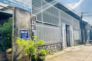 Gia Lai thực hiện quyết liệt các giải pháp phát triển thị trường bất động sản phát triển an toàn lành mạnh