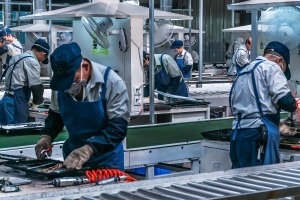 Đồng Tháp phấn đấu tốc độ tăng năng suất lao động bình quân đạt trên 6,5%/năm