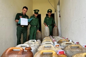 Thu giữ 900 lít dầu D.O không có hóa đơn chứng từ