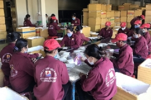 Bình Định có 06 sản phẩm công nghiệp nông thôn tiêu biểu cấp quốc gia