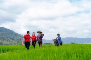 Agribank hỗ trợ phát triển bền vững 1 triệu ha chuyên canh lúa chất lượng cao phát thải thấp