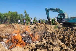 Tiêu hủy 50.828 gói thuốc lá ngoại nhập lậu