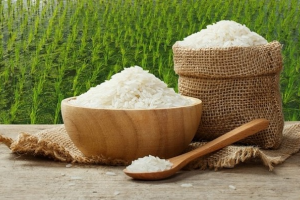 Giá lúa gạo hôm nay 15/12: Không có biến động, nhu cầu mua lúa cắt sau Tết nhiều