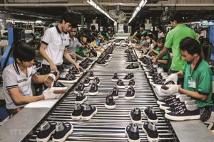 Doanh nghiệp Việt phải thích ứng như thế nào để xuất khẩu hàng hóa lĩnh vực tiềm năng sang EU?