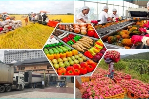 Năm 2023, xuất khẩu nông sản vượt mốc 53 tỷ USD trong đó gạo và rau quả bứt phá mạnh mẽ