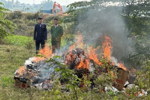 Thanh Hóa tiêu huỷ hàng chục nghìn sản phẩm, hàng hoá là thực phẩm không rõ nguồn gốc, xuất xứ