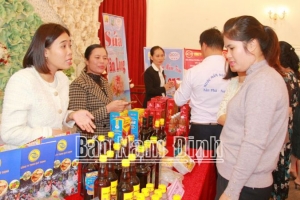 Nam Định: Phát triển nghề truyền thống quê hương