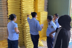 Phát hiện nhiều sai phạm về các thủ tục sản xuất, kinh doanh gạo trên địa bàn tỉnh An Giang