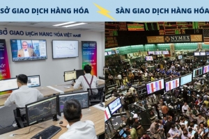 Giá trị giao dịch hàng hóa tại MXV đạt trung bình hơn 4.000 tỷ đồng/ngày