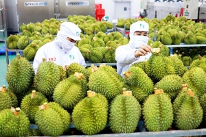 Các giải pháp thúc đẩy hoạt động xuất nhập khẩu trong năm 2024