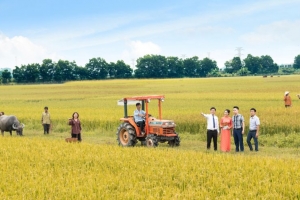 Nợ xấu giảm về mức 1,26%, LPBank thu về 7.039 tỷ đồng năm 2023