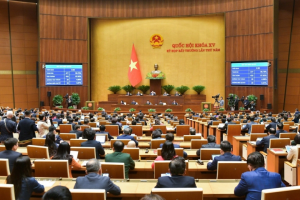 Vì sao phải kiên định: “Đất đai thuộc sở hữu toàn dân”?