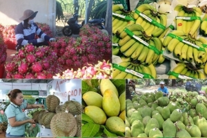 Nông sản chủ lực của Việt Nam sẽ tăng trưởng mạnh