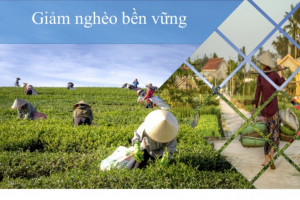 Việt Nam là quốc gia duy nhất ở Châu Á thực hiện giảm nghèo đa chiều