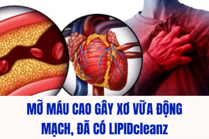 Xơ vữa động mạch do mỡ máu cao - Đã có LIPIDcleanz