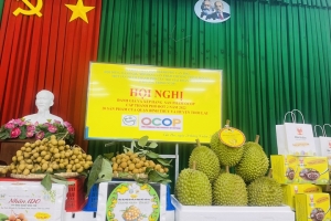 Cần Thơ: Khơi thông đầu ra cho sản phẩm OCOP dịp Tết