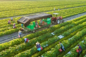 Nông nghiệp xanh là hướng đi tất yếu