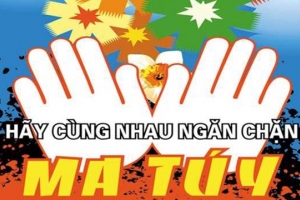 Phải chủ động rà soát, sửa đổi bổ sung lại hành lang pháp lý về phòng, chống ma túy