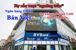 Gam màu sáng tối trong bức tranh mang thương hiệu BVBank – Ngân hàng TMCP Bản Việt