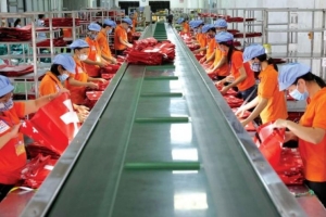 Thuận Đức (TDP) đạt 17,5 tỷ đồng lãi sau thuế quý IV/2023, tăng 94%