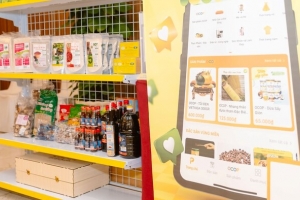 Triển khai mô hình Flagship Store - Gian hàng địa phương trên các sàn thương mại điện tử