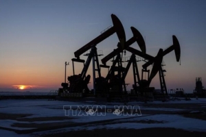 OPEC+ giữ ổn định sản lượng khai thác dầu thô