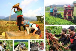 Cấp huyện được quyết những gì trong cơ chế đặc thù chương trình mục tiêu quốc gia?