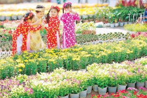 Nam Định đảm bảo đón Tết vui tươi, lành mạnh