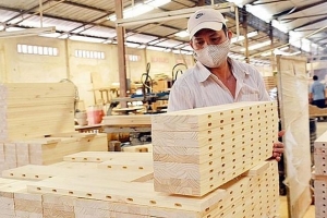 Xuất khẩu đầu năm tăng mạnh, DN sẵn sàng đón cơ hội quay trở lại